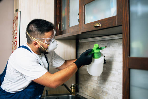 Best Flea Control Services  in Rutledge, TN