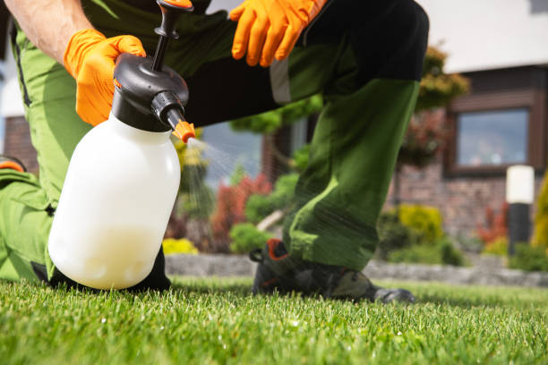 Best Pest Control Treatment  in Rutledge, TN