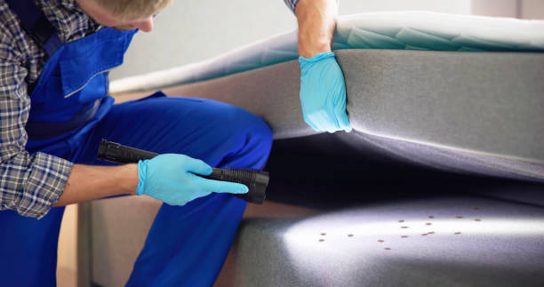 Professional Pest Control in Rutledge, TN
