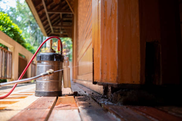Best Ant Control Services  in Rutledge, TN